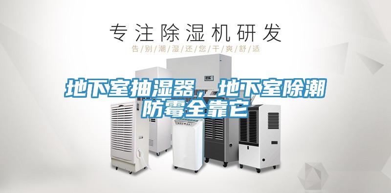 地下室抽濕器，地下室除潮防霉全靠它