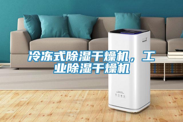 冷凍式除濕干燥機(jī)，工業(yè)除濕干燥機(jī)