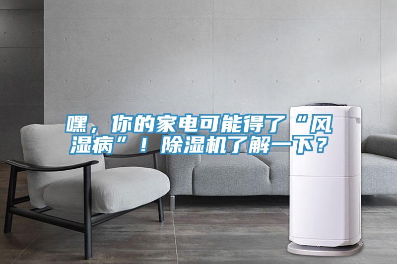 嘿，你的家電可能得了“風(fēng)濕病”！除濕機了解一下？