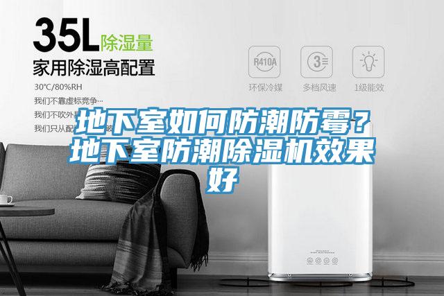 地下室如何防潮防霉？地下室防潮除濕機效果好