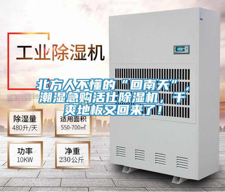 北方人不懂的“回南天”，潮濕急購活仕除濕機(jī)，干爽地板又回來了！