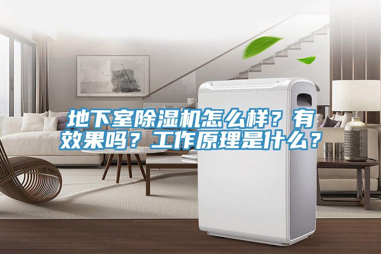 地下室除濕機(jī)怎么樣？有效果嗎？工作原理是什么？