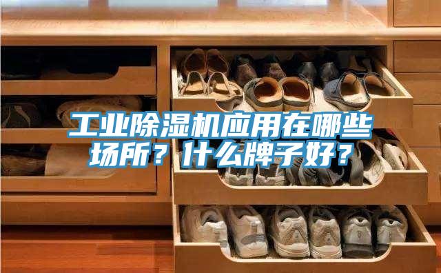 工業(yè)除濕機(jī)應(yīng)用在哪些場(chǎng)所？什么牌子好？