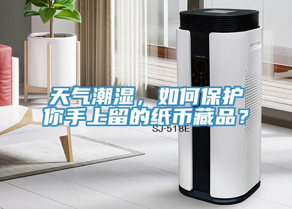 天氣潮濕，如何保護(hù)你手上留的紙幣藏品？