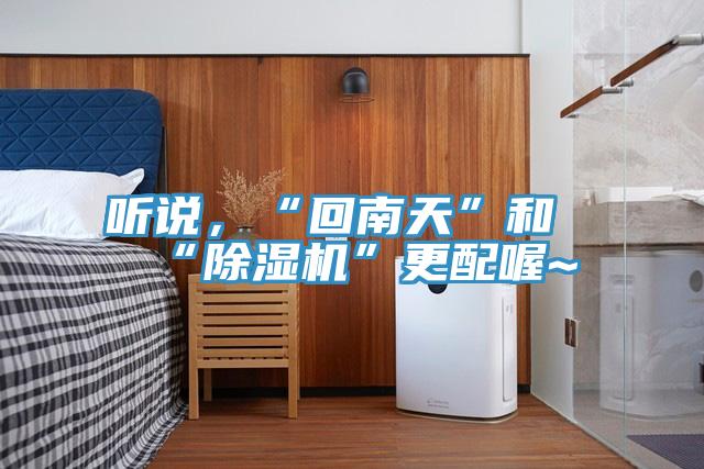 聽說，“回南天”和“除濕機”更配喔~