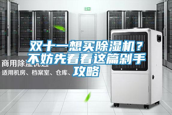 雙十一想買除濕機(jī)？不妨先看看這篇剁手攻略