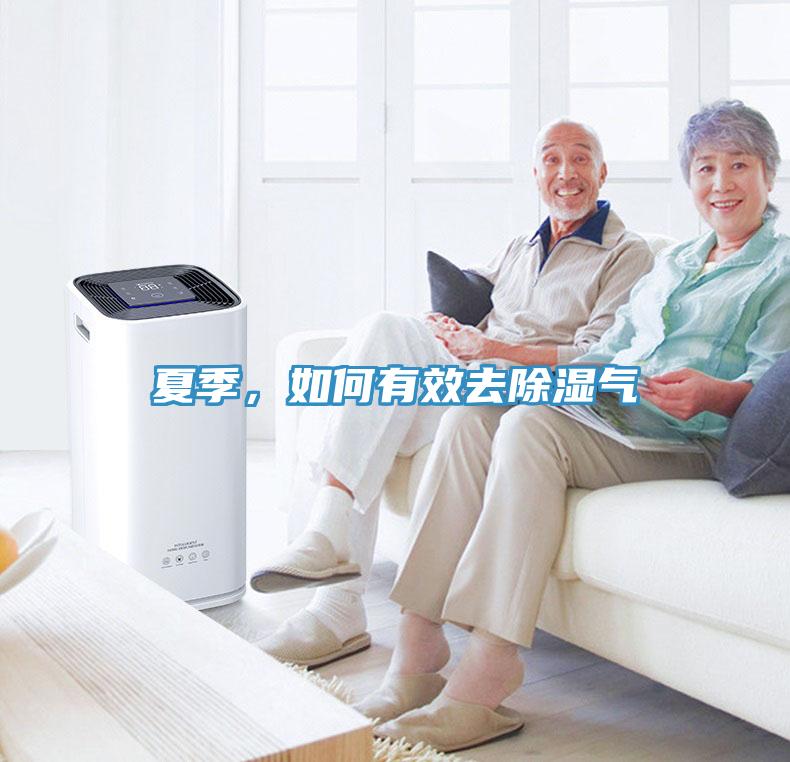 夏季，如何有效去除濕氣