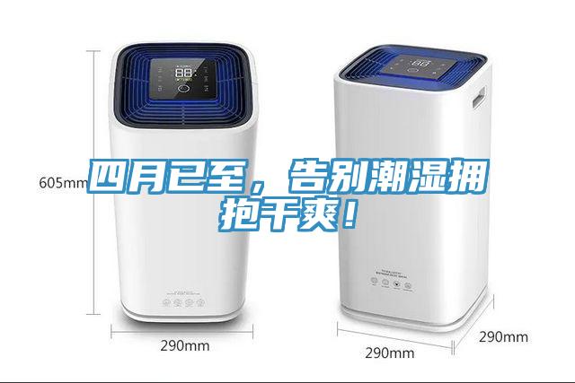 四月已至，告別潮濕擁抱干爽！