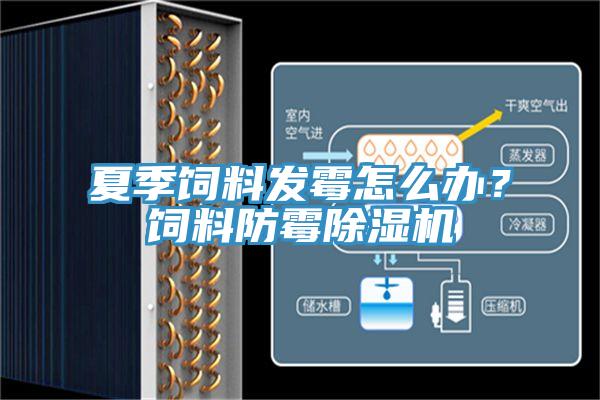 夏季飼料發(fā)霉怎么辦？飼料防霉除濕機(jī)