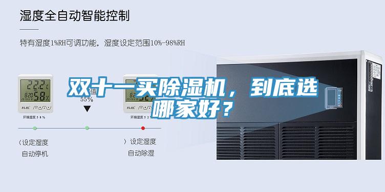 雙十一買除濕機(jī)，到底選哪家好？