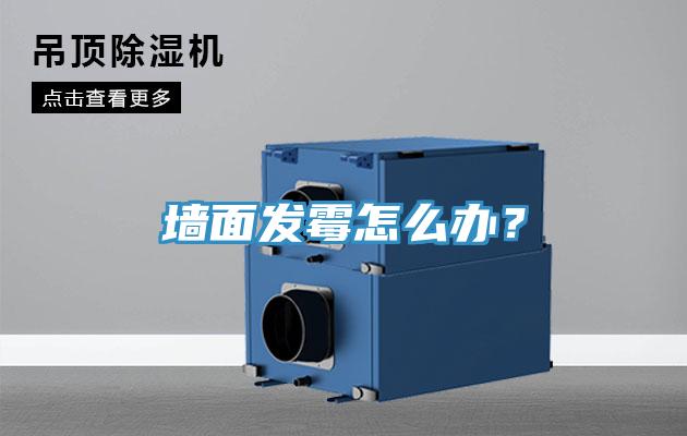 墻面發(fā)霉怎么辦？