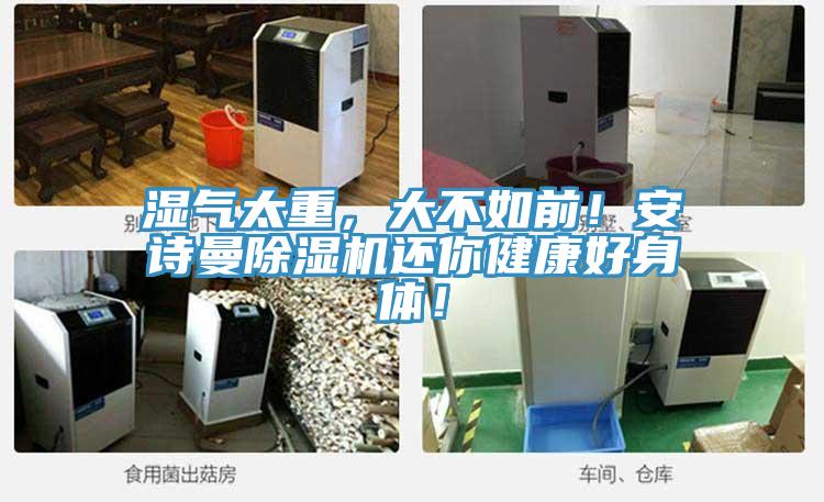 濕氣太重，大不如前！安詩曼除濕機還你健康好身體！