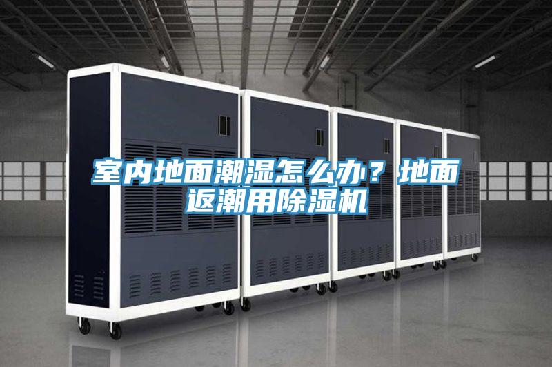 室內(nèi)地面潮濕怎么辦？地面返潮用除濕機(jī)