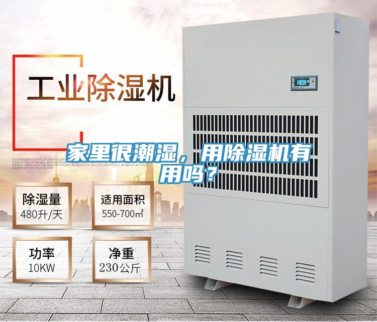 家里很潮濕，用除濕機有用嗎？