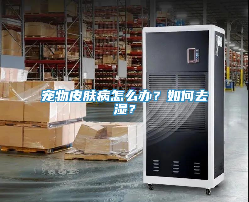 寵物皮膚病怎么辦？如何去濕？