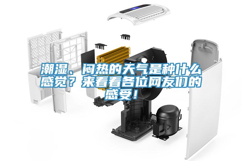 潮濕、悶熱的天氣是種什么感覺？來看看各位網(wǎng)友們的感受！