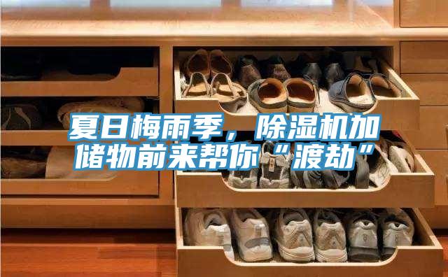 夏日梅雨季，除濕機(jī)加儲物前來幫你“渡劫”