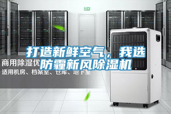 打造新鮮空氣，我選防霾新風(fēng)除濕機(jī)