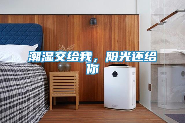 潮濕交給我，陽光還給你