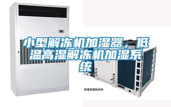 小型解凍機加濕器，低溫高濕解凍機加濕系統(tǒng)