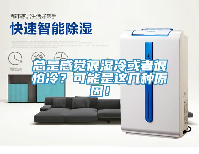 總是感覺(jué)很濕冷或者很怕冷？可能是這幾種原因！