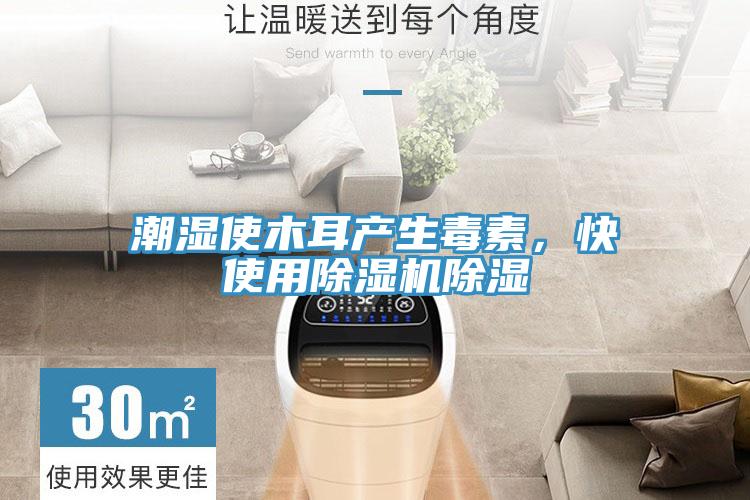 潮濕使木耳產(chǎn)生毒素，快使用除濕機除濕