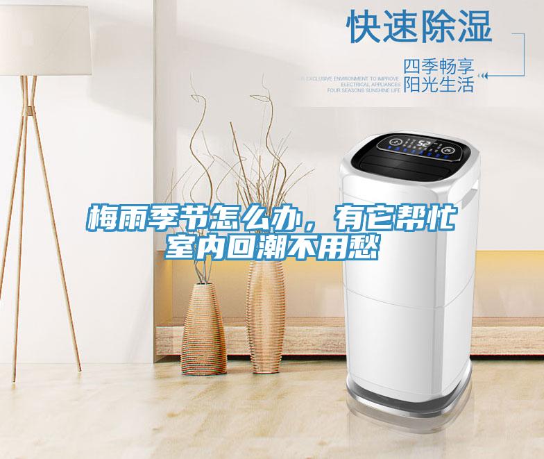 梅雨季節(jié)怎么辦，有它幫忙室內(nèi)回潮不用愁