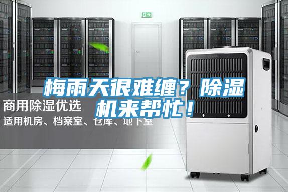 梅雨天很難纏？除濕機(jī)來(lái)幫忙！