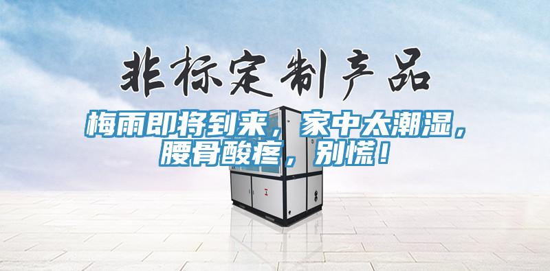 梅雨即將到來(lái)，家中太潮濕，腰骨酸疼，別慌！