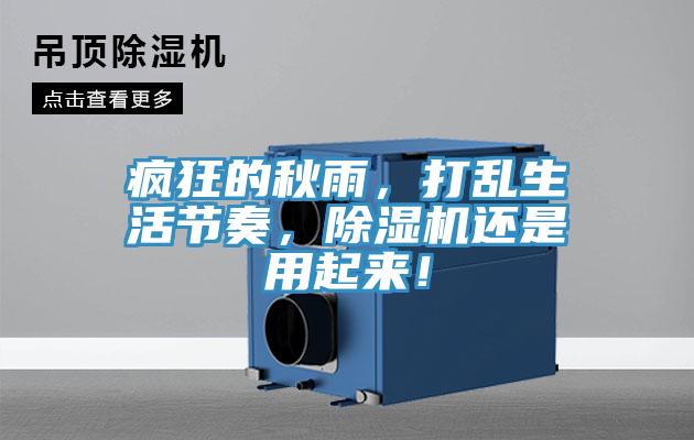 瘋狂的秋雨，打亂生活節(jié)奏，除濕機(jī)還是用起來！