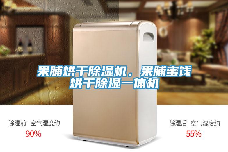 果脯烘干除濕機，果脯蜜餞烘干除濕一體機
