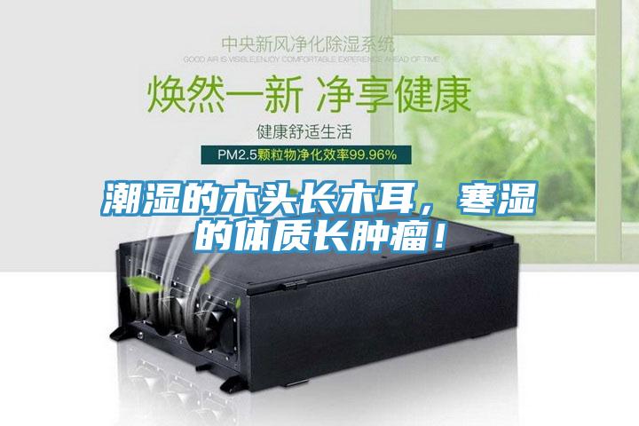 潮濕的木頭長木耳，寒濕的體質(zhì)長腫瘤！