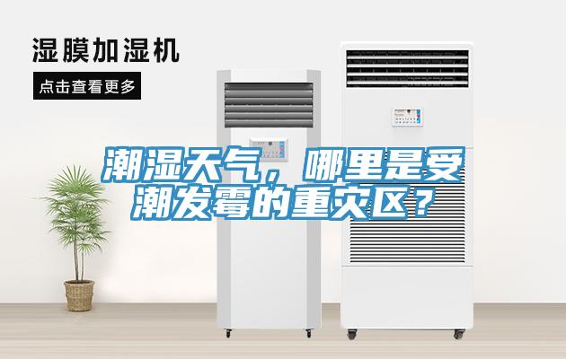潮濕天氣，哪里是受潮發(fā)霉的重災(zāi)區(qū)？