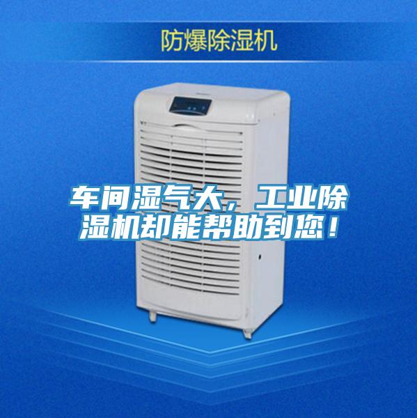 車間濕氣大，工業(yè)除濕機(jī)卻能幫助到您！