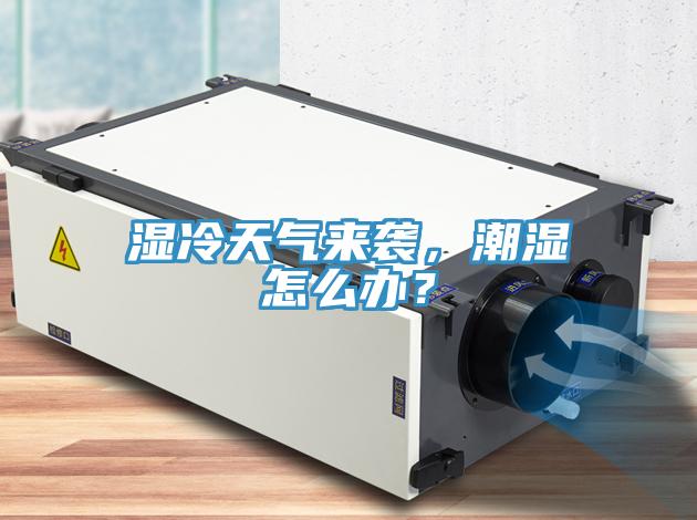 濕冷天氣來襲，潮濕怎么辦？