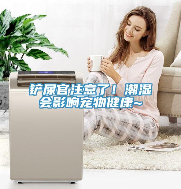 鏟屎官注意了！潮濕會影響寵物健康~