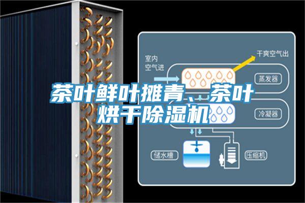 茶葉鮮葉攤青、茶葉烘干除濕機