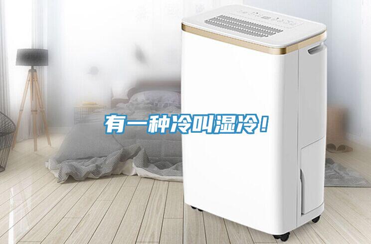有一種冷叫濕冷！