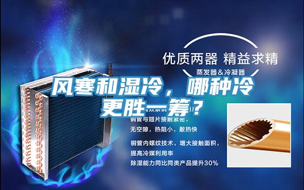風(fēng)寒和濕冷，哪種冷更勝一籌？