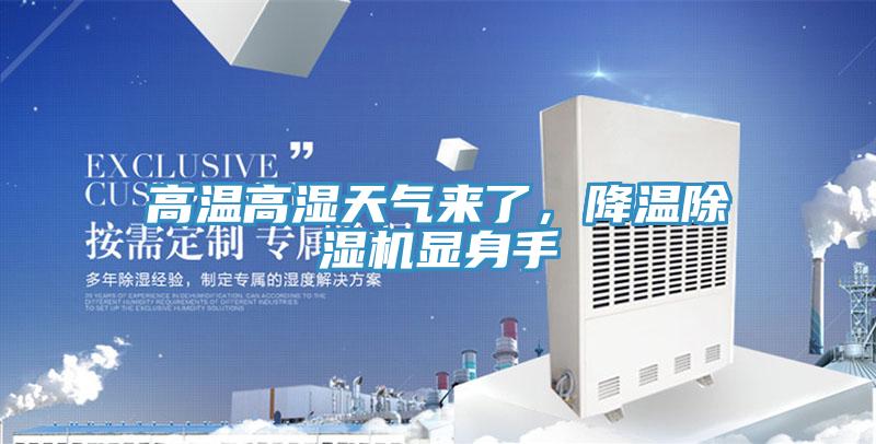 高溫高濕天氣來了，降溫除濕機顯身手