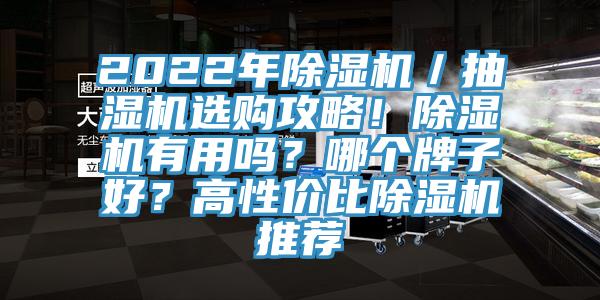 2022年除濕機(jī)／抽濕機(jī)選購攻略！除濕機(jī)有用嗎？哪個牌子好？高性價比除濕機(jī)推薦