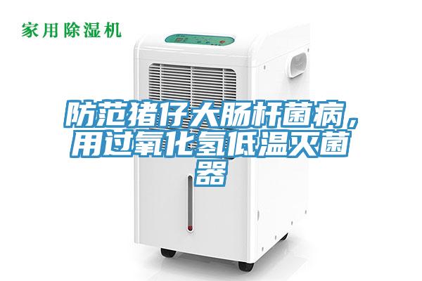 防范豬仔大腸桿菌病，用過氧化氫低溫滅菌器