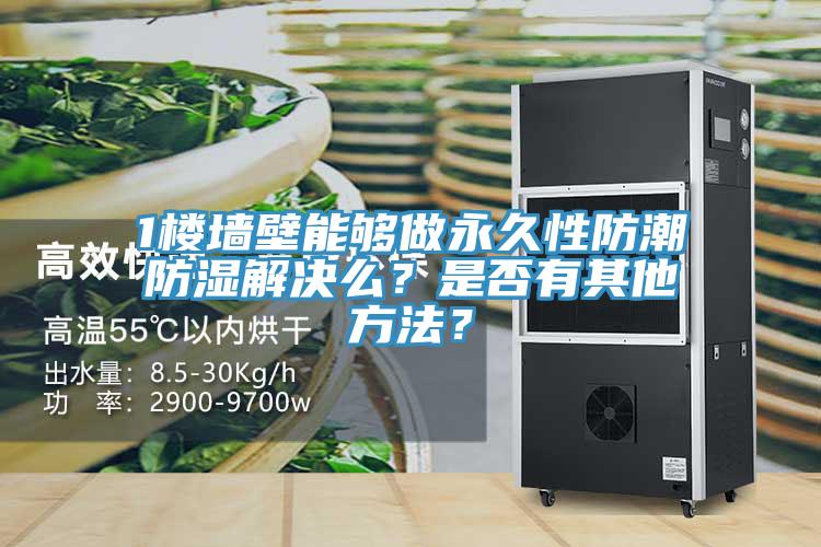 1樓墻壁能夠做永久性防潮防濕解決么？是否有其他方法？