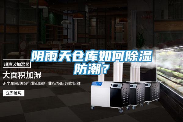 陰雨天倉(cāng)庫(kù)如何除濕防潮？