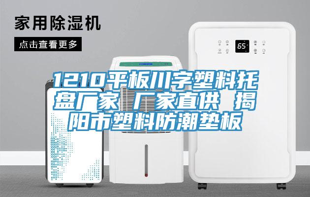 1210平板川字塑料托盤(pán)廠(chǎng)家 廠(chǎng)家直供 揭陽(yáng)市塑料防潮墊板