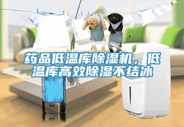 藥品低溫庫除濕機(jī)，低溫庫高效除濕不結(jié)冰