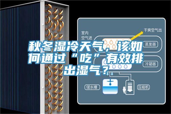 秋冬濕冷天氣，該如何通過(guò)“吃”有效排出濕氣？
