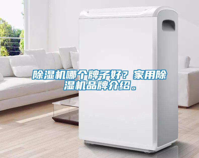 除濕機哪個牌子好？家用除濕機品牌介紹。