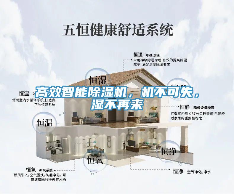 高效智能除濕機(jī)，機(jī)不可失，濕不再來