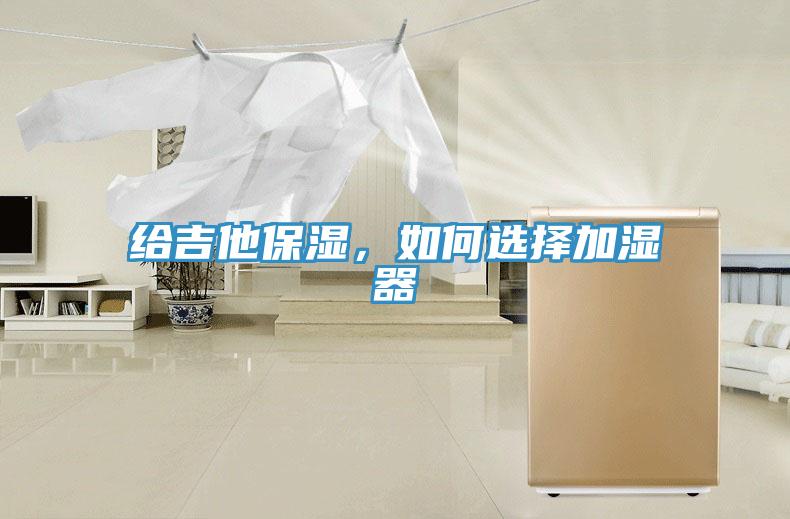 給吉他保濕，如何選擇加濕器